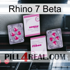 Rhino 7 Beta 33